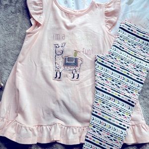 Toddler Girl 2 Piece Set